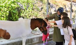 Samsun'da atlarla terapi: 413 çocuk yararlanıyor