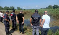 Samsun'da ekipleri harekete geçiren balık ölümleri