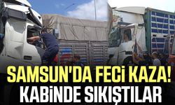 Samsun'da canlı tavuk yüklü tır kamyona çarptı! 2 yaralı