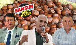 Samsun'da fındık serbest piyasada 170 liraya kadar düştü! TMO'ya kota çağrısı