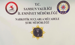 Samsun’da iki ilçede operasyon! 8 kişiye işlem