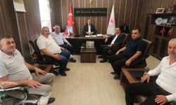 Samsun'da kivi hamlesi! Üretimin artırılması için görüşme