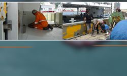 Samsun açıklarından güzel haber! Tezgâhlar palamuda doyabilir