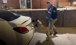 Samsun’da şüpheli valiz! Narkotik köpeği Şila ortaya çıkardı