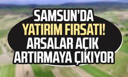 Samsun’da yatırım fırsatı! Arsalar açık artırmaya çıkıyor