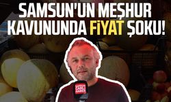 Samsun'un meşhur kavununda fiyat şoku