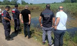 Samsun'da ekipleri harekete geçiren balık ölümleri