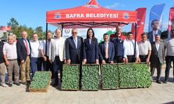 Bafra’da tarım atağı! 266 bin fide üreticilerle buluştu