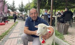 Kavak’ın maskotu oldu! Tertip’i gören yanına koşuyor