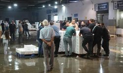 Balıkçılar bile şaşkın! Samsun'da hamsiden haber var