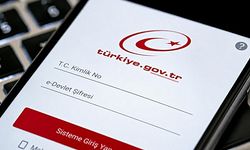 Bugün resmen başladı! Haberi duyan e-Devlet'e akın ediyor