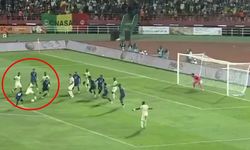Fenerbahçeli Nene milli takımda sahneye çıktı! 2 gol birden