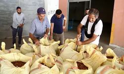Fındık piyasasında düğmeye basıldı! Bakanlık harekete geçti