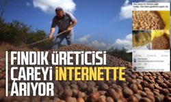 Fındık üreticisi çareyi internette arıyor