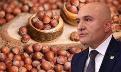 İYİ Partili Dr. Erhan Usta’dan fındıkta kota tepkisi: “Üretici perişan”