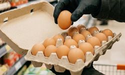 Marketten yumurta alanlar dikkat!