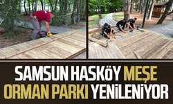 Samsun Hasköy Meşe Orman Parkı yenileniyor