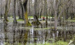 Samsun’un 19 Mayıs ilçesinde görülmesi gereken yerler