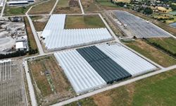 Samsun tarımında yeni dönem: Sera yatırımları büyüyor