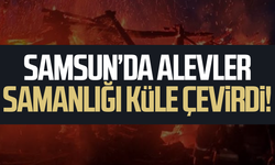 Samsun’da alevler samanlığı küle çevirdi!