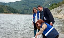 Samsun’da baraj gölüne 250 bin yavru sazan bırakıldı