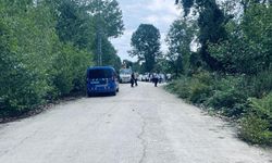 Samsun'da hayvanı kurtarmak isterken elektrik akımına kapıldılar