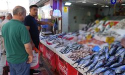 Samsun'da ilk ağlar doldu! Tezgahlarda palamut sürprizi