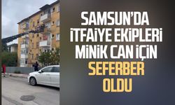 Samsun'da ifaiye ekipleri minik can için seferber oldu