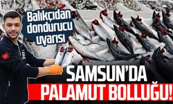 Samsun’da palamut bolluğu! Balıkçıdan dondurucu uyarısı