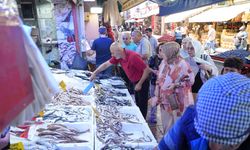 Samsun'da palamutun fiyatı 3 günde çakıldı!