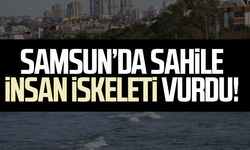 Samsun’da sahile insan iskeleti vurdu!