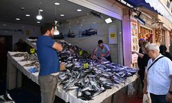 Samsun'da tercih değişti: O balık kapış kapış gidiyor