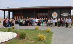 Samsun’da yaşayan çınarlara tatil tadında kamp