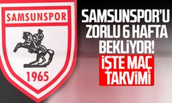 Samsunspor’u zorlu 6 hafta bekliyor! İşte maç takvimi