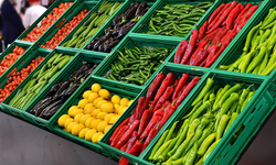 Tarla ile market fiyat farkının nedeni ne? O isim anlattı