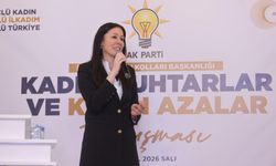 AK Partili Çiğdem Karaaslan: “Siyasete yön veren kadınlar çoğalsın”