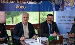 Samsun’da kaz üretiminde düğmeye basıldı! Hedef yurt dışı