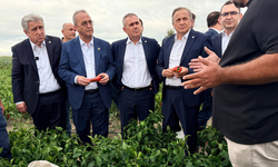 Yeni Partili Murat Çan’dan Bafra’da üretici mesajı
