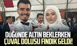Arkadaşının düğününde altın yerine çuvalla fındık taktı!