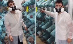 Avukatlığı bırakıp bu işe başladı! Kazancını bir ayda 8'e katladı