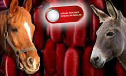 Bakanlık ifşa etti! Sucukta tek tırnaklı ve domuz eti tespiti