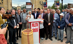 Samsun'da fındık üreticisi ses yükseltti! Yeşilırmak’ta eylem