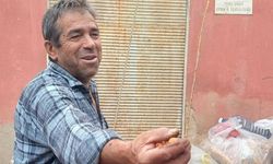 Dağda kendiliğinden yetişiyor! Fındık kadar küçük ama fiyatı 150 TL