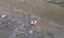 Samsun’da panik dolu anlar! Piknik tüpü alev aldı