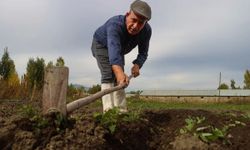 Esnaflığı bıraktı bu işe girdi! Kilosu 950 bin liraya satılıyor