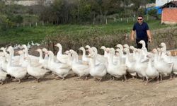 Samsun’da şehirden köye dönüş hikayesi! 4 yılda 600 kaza ulaştılar