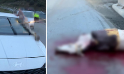 Korkunç kazada akılalmaz olay! Kopan bacağı araca saplandı
