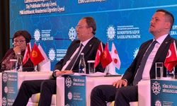 MHP'li İlyas Topsakal, Türk dünyası için yol haritasını anlattı