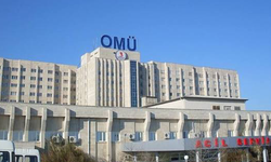 OMÜ 35 öğretim üyesi alacak! Başvurular başladı