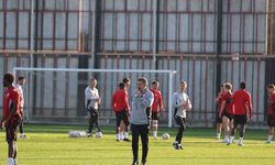 PFDK’dan Samsunspor’a ceza, Nenad Bjelica’ya yasak kararı!